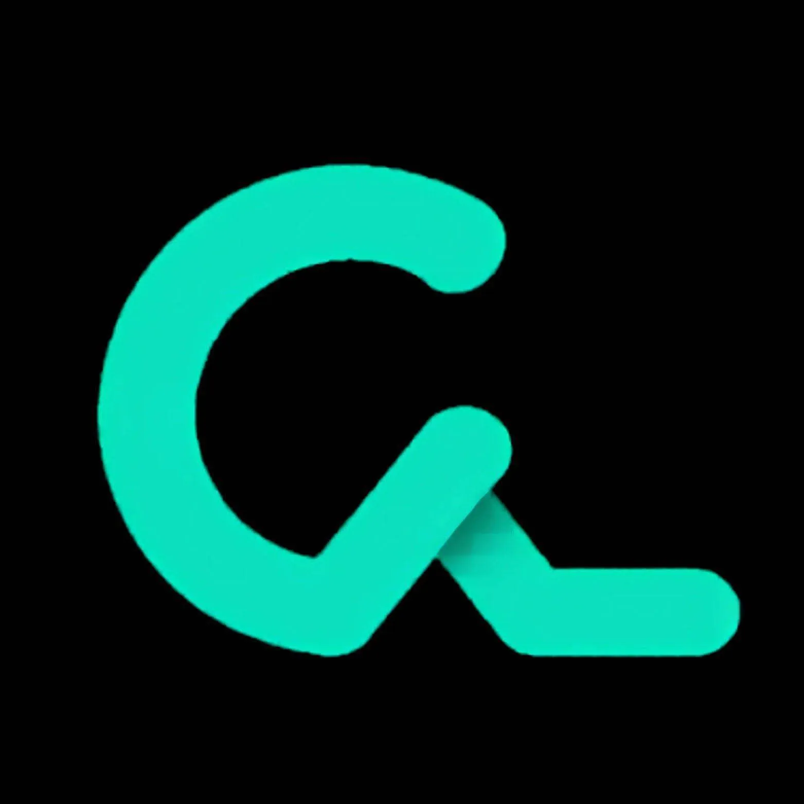 Organizer